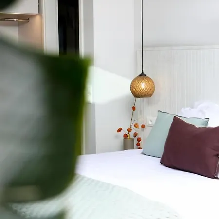 Vila De Lux Cu Piscina Privata Casa de Férias *