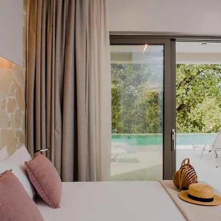 Casa de Férias Vila De Lux Cu Piscina Privata