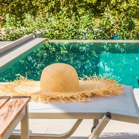 Vila De Lux Cu Piscina Privata Holiday home *
